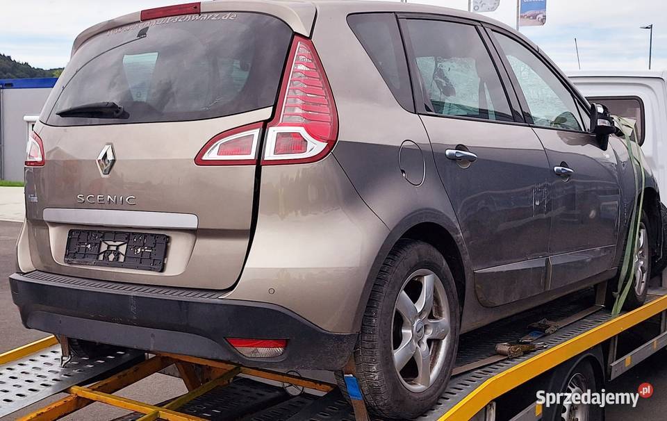 RENAULT SCENIC III RAMIONA WYCIERACZKĘ KLAPY TYŁ Radom
