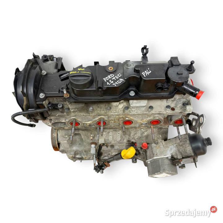 SILNIK T1DA Ford Focus III C C 16 TDCI 115 lubelskie Chełm