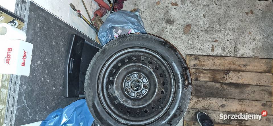 Dębica navigator 3 2055516 całoroczne Myślibórz