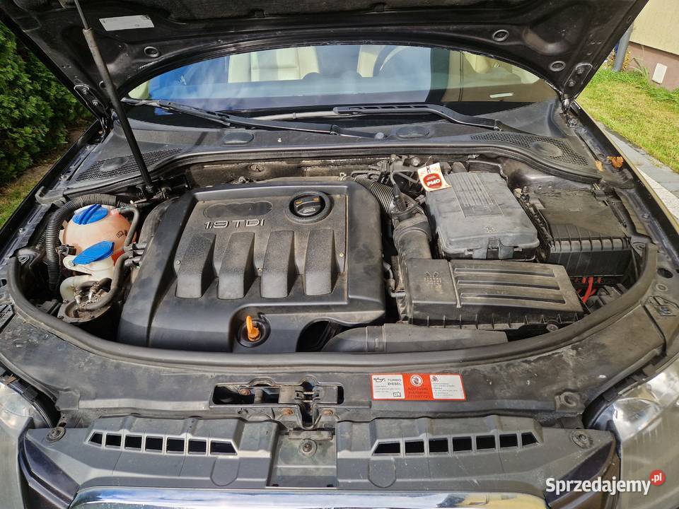 Sprzedam Audi a 3 8p Kłoczew