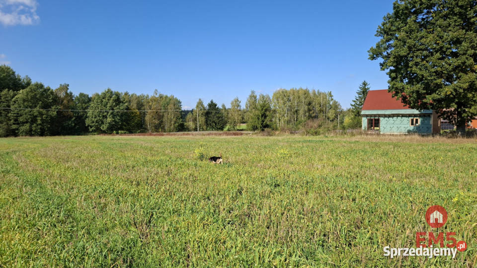 Sprzedam działka 1294m2 Łubianka Sprzedaż podlaskie