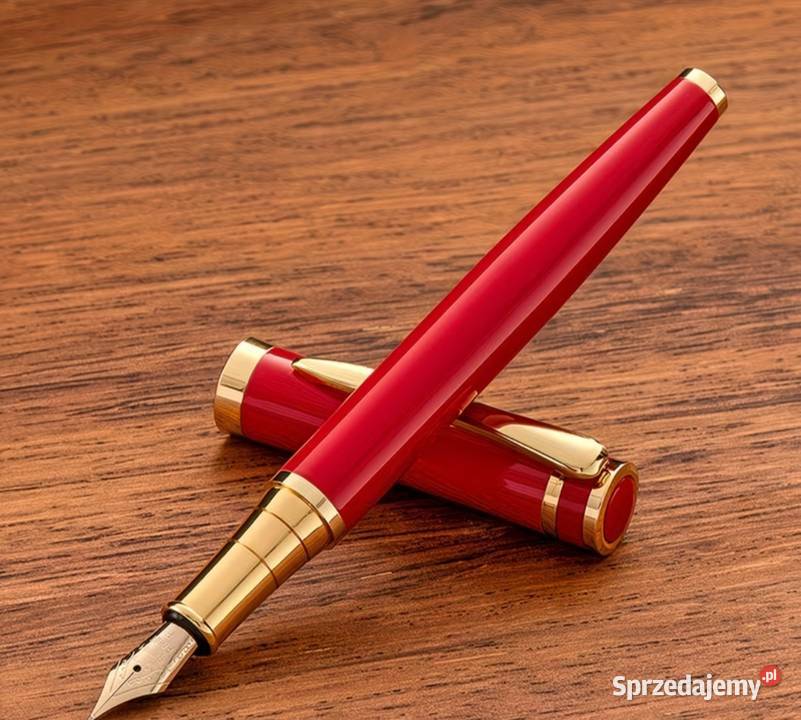 Pióro wieczne X2 etui skórzane