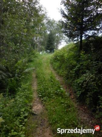 Sprzedam działkę w górach Milik