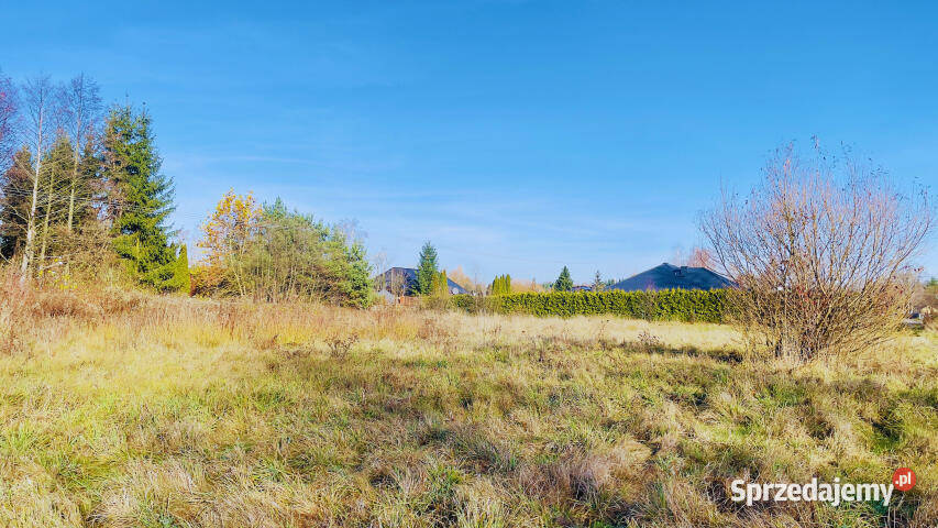 sprzedaży działki 3000m2 Radonie mazowieckie
