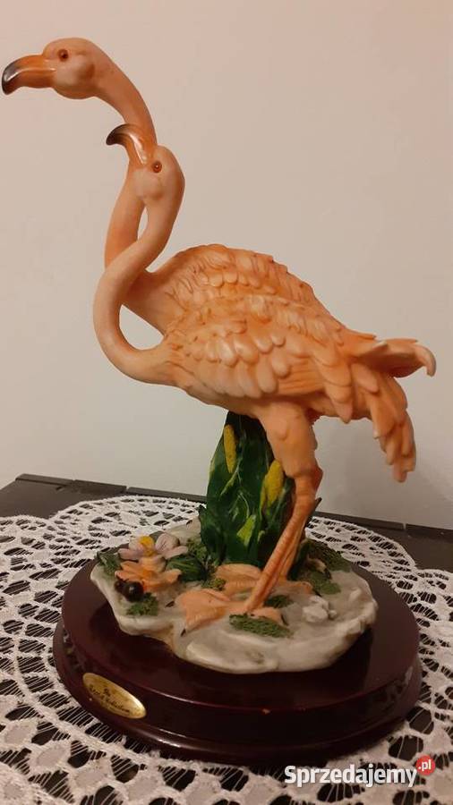 Flamingi odcienie różowego Szczecin