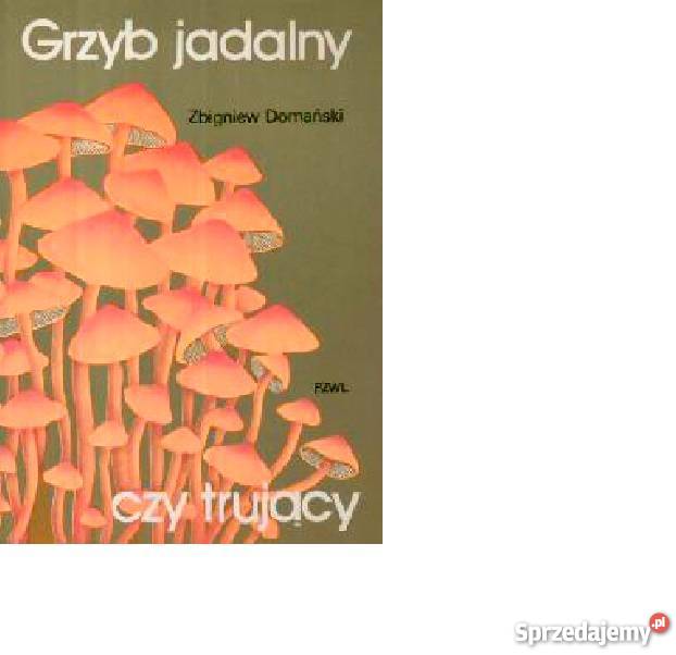 Grzyb jadalny czy trujący Zbigniew Domański fa Goleniów