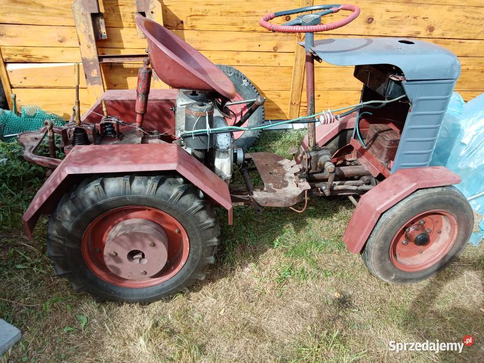 Sprzedam dzik 21 Rolnictwo podkarpackie