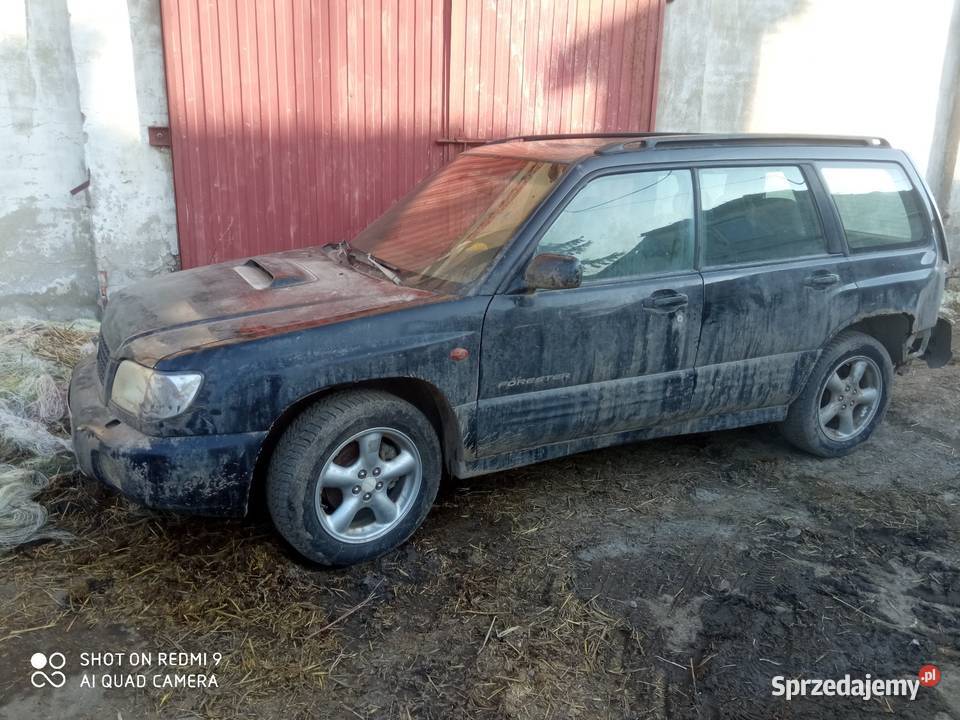 Subaru Forester Kętrzyn