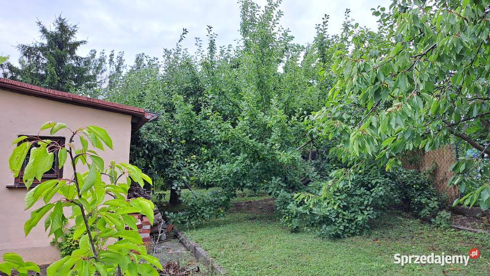 Sprzedam działkę ROD w Żaganiu Sprzedaż Żagań