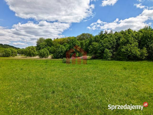 Działka 1000m2 Wielopole Skrzyńskie