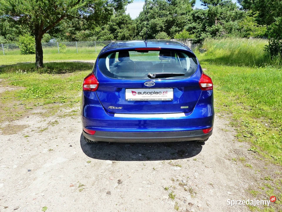 Ford Focus 10 EBClimatronicAluElektrykaKolorowe 1000cm3