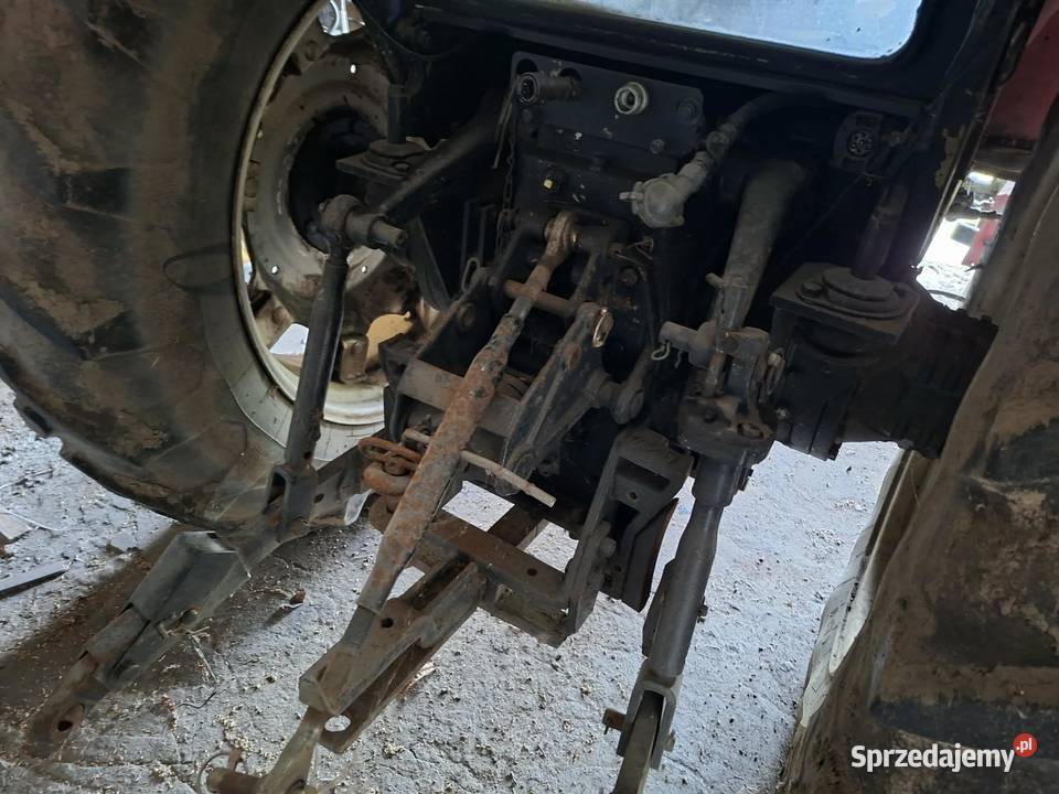 Zetor Lisewo