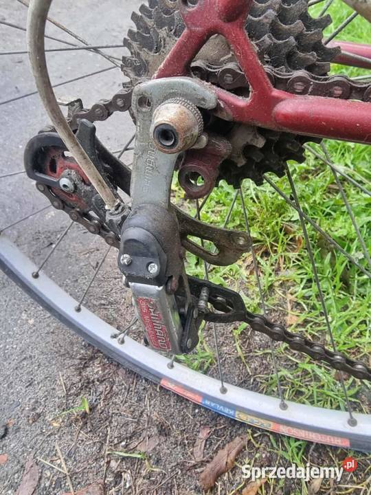 Kolarzówka Gazelle Szosowe Gliwice