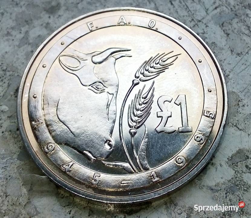 CYPR 1 FUNT 1995 r 50 ROCZNICA FAODUŻAŁADNA Kolekcje sprzedam