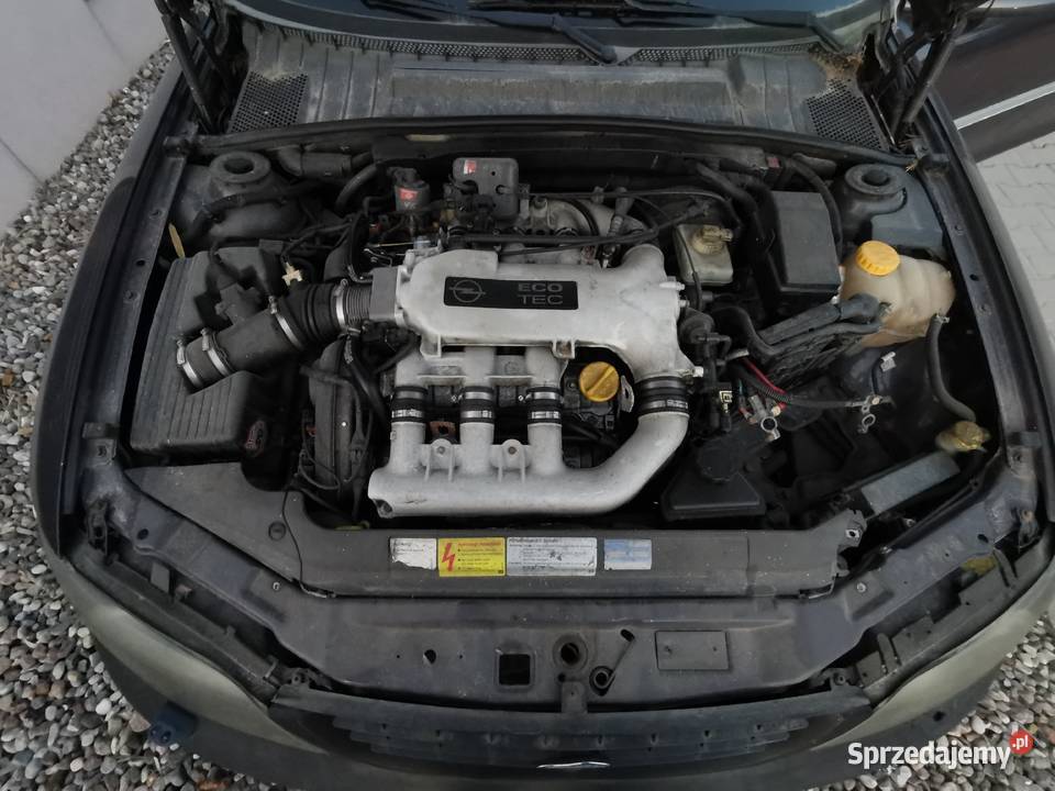 Opel Vectra B 25 v6 Irmscher Flinstone Hatchback Szczecin