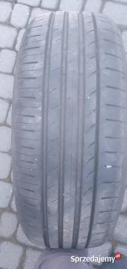 Opony letnie 2055516 lato Iwkowa