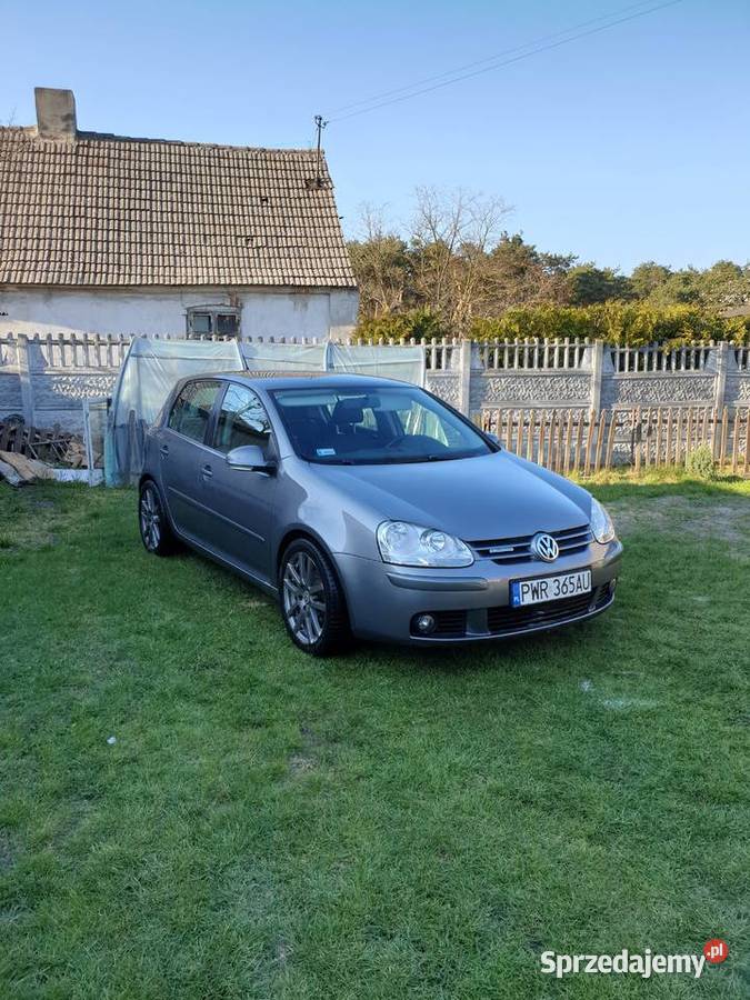 Volkswagen golf 5 bluemotion Lisewo sprzedam