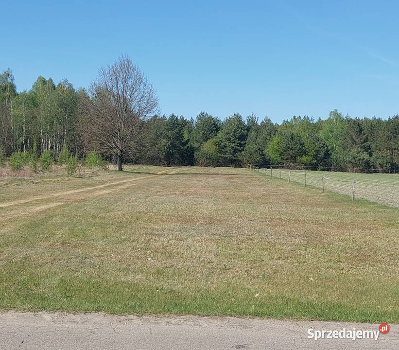 Działka 2500 m Lasocin