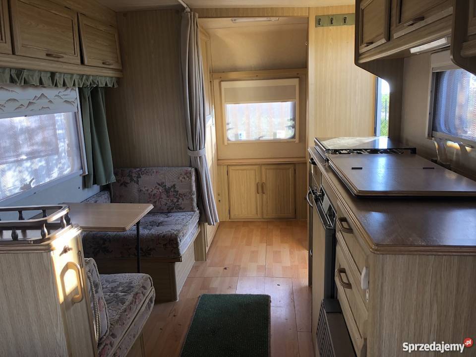 ELDDIS EQUIPE sprzedam