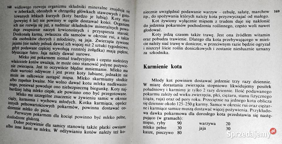 Koty nasze hobby A Konarska Szubska miękka Chełm