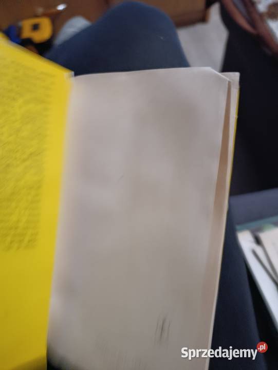 Gdybym była chłopcem autorstwa Jana Kurczaba Poznań