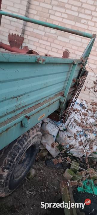 Rozrzutnik jednoosiowy polski Zbuczyn