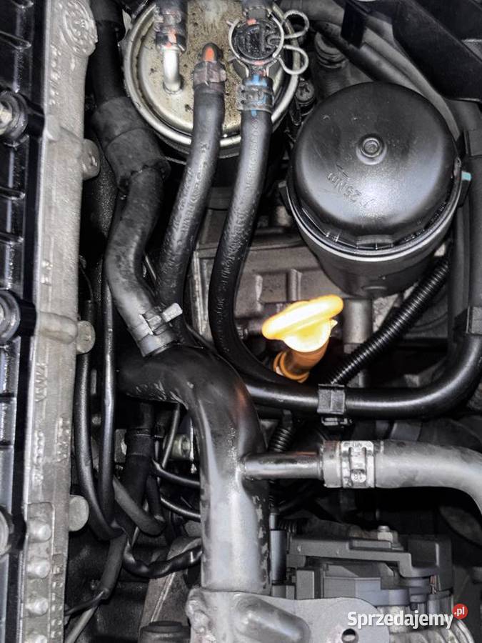 PASSAT B5fl 19 tdi Uszkodzony 280543km Rzeczyca