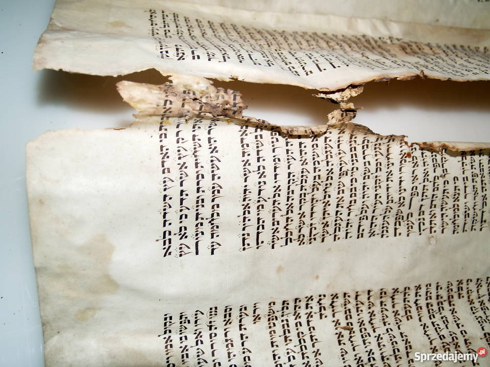 Dziewiętnastowieczna tora na pergaminie Antykwariat Tarnów