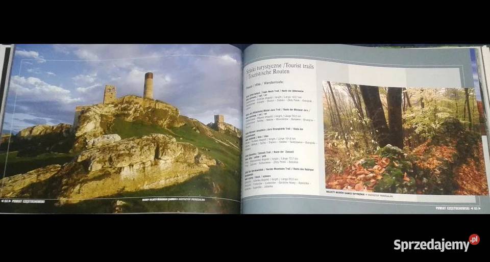 Powiat Częstochowski K Pierzgalski J Zygmunt sprzedam