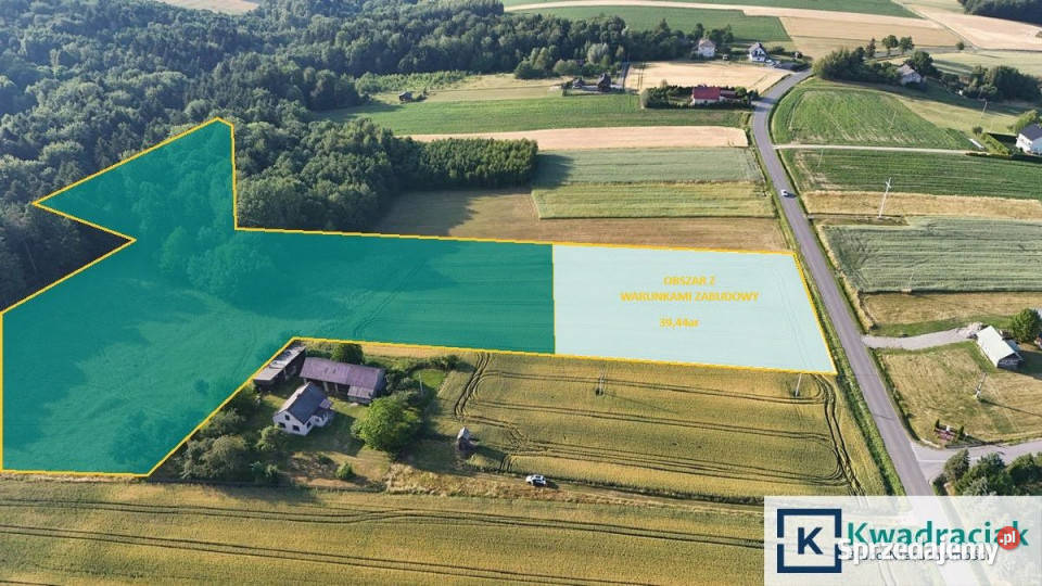 Działka Bystrzyca 23900m2 sprzedam