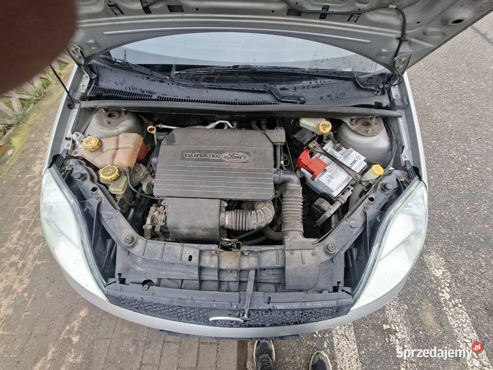 Ford Fiesta dolnośląskie Jawor