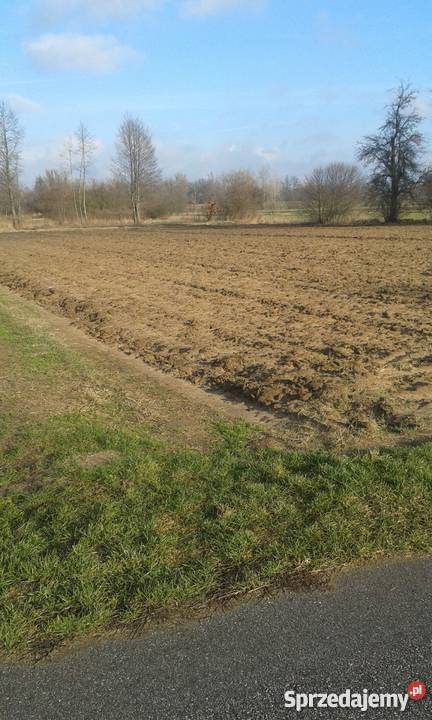 spokojne miejsce budowlana Arciechówek