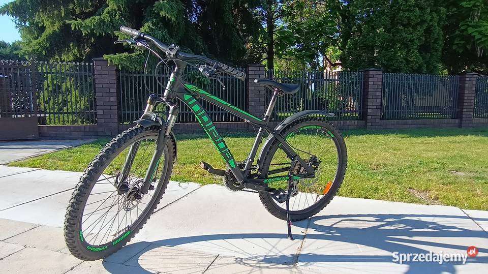 Rower indiana xpulser 26