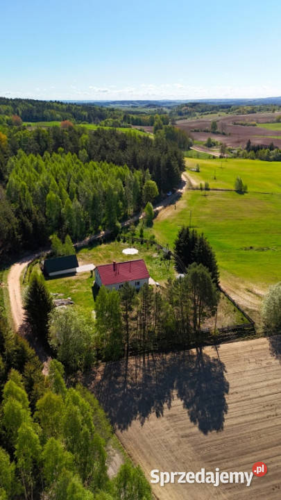 Stryjkowo dom na wsi las cisza 3000 m2 siedlisko utwardzona