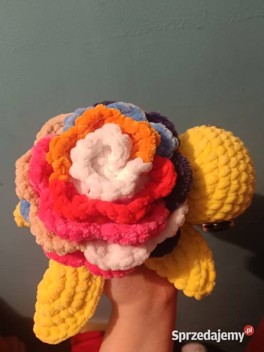 Żółwik na szydełku Prudnik