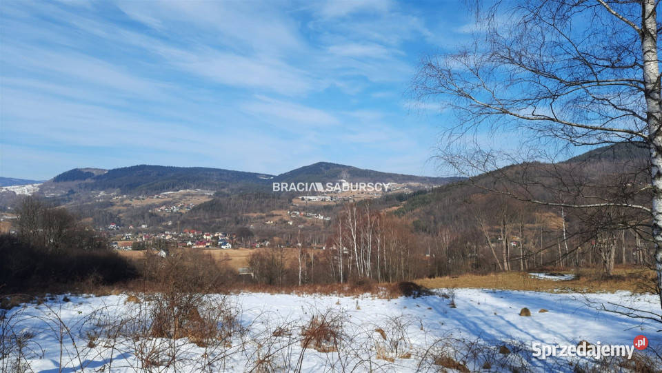 Sprzedaż gruntu 30000m2 Stryszawa małopolskie