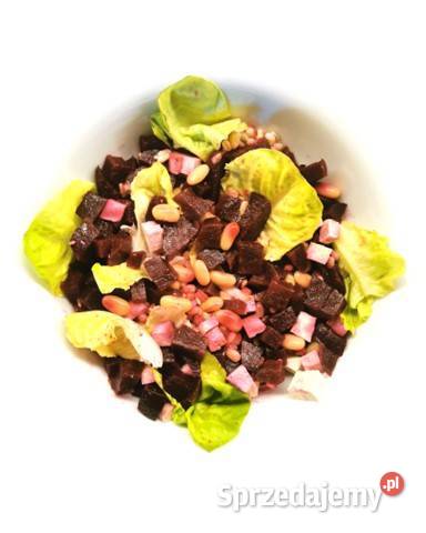 Dieta online indywidualny plan żywieniowy pdf Jasieniec