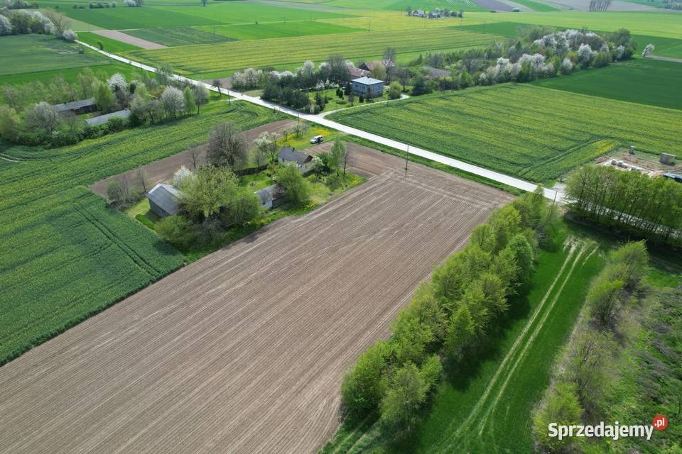 Działka rolnobudowlana pod Lublinem 16 ar Sprzedaż Wierciszów