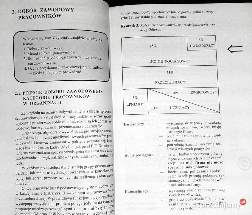Psychologia w zarządzaniu Elżbieta Karney miękka sprzedam