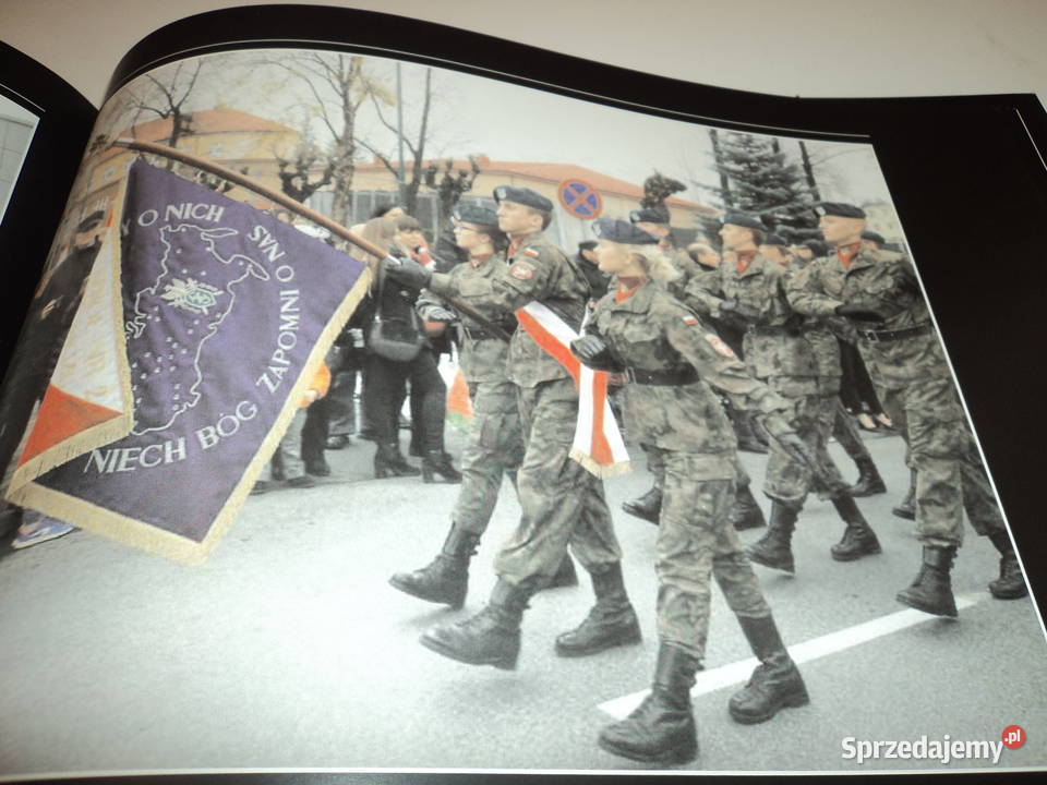 Historia budowy pomnika JPiłsudskigo w Nowym małopolskie