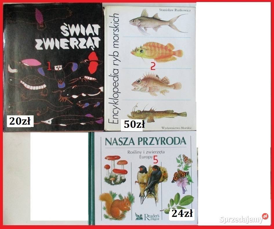 Ptaki Polski JSokołowski ptaki atlas fauna Książki naukowe i popularnonaukowe Książki i Podręczniki