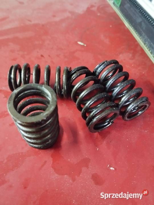 Sprężyna zaworu BMW E46 n42b20 n42b18 n46 Leżajsk