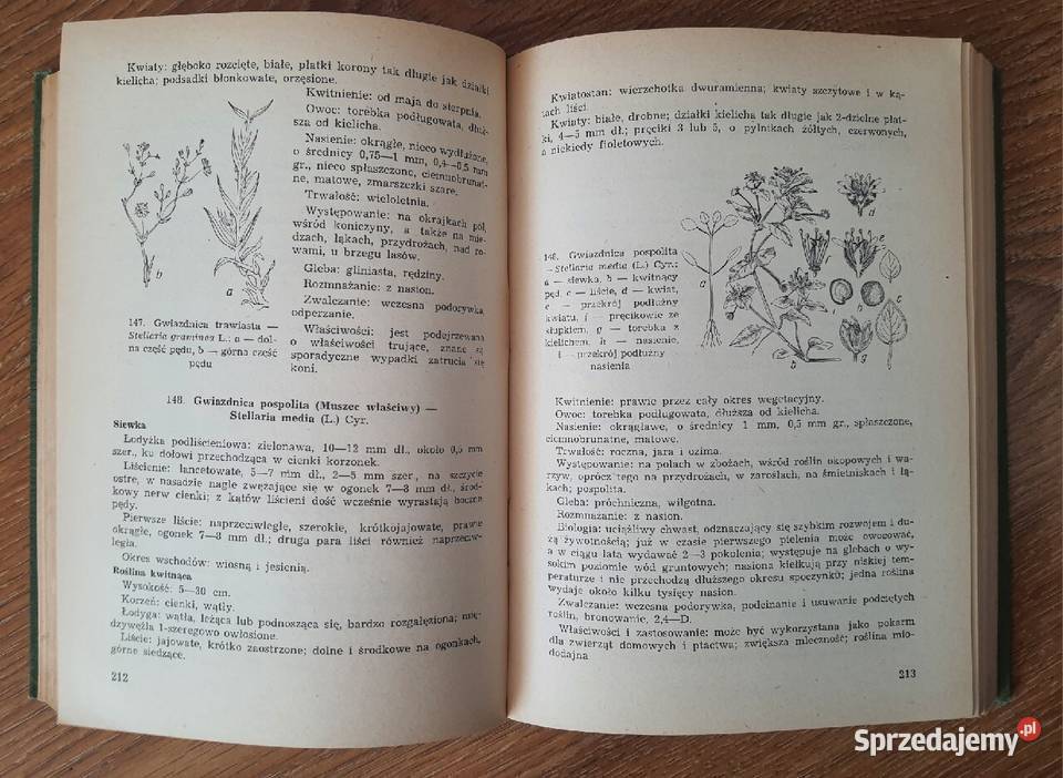 Krajowe chwasty polne i ogrodowe J Mowszowicz Osięciny