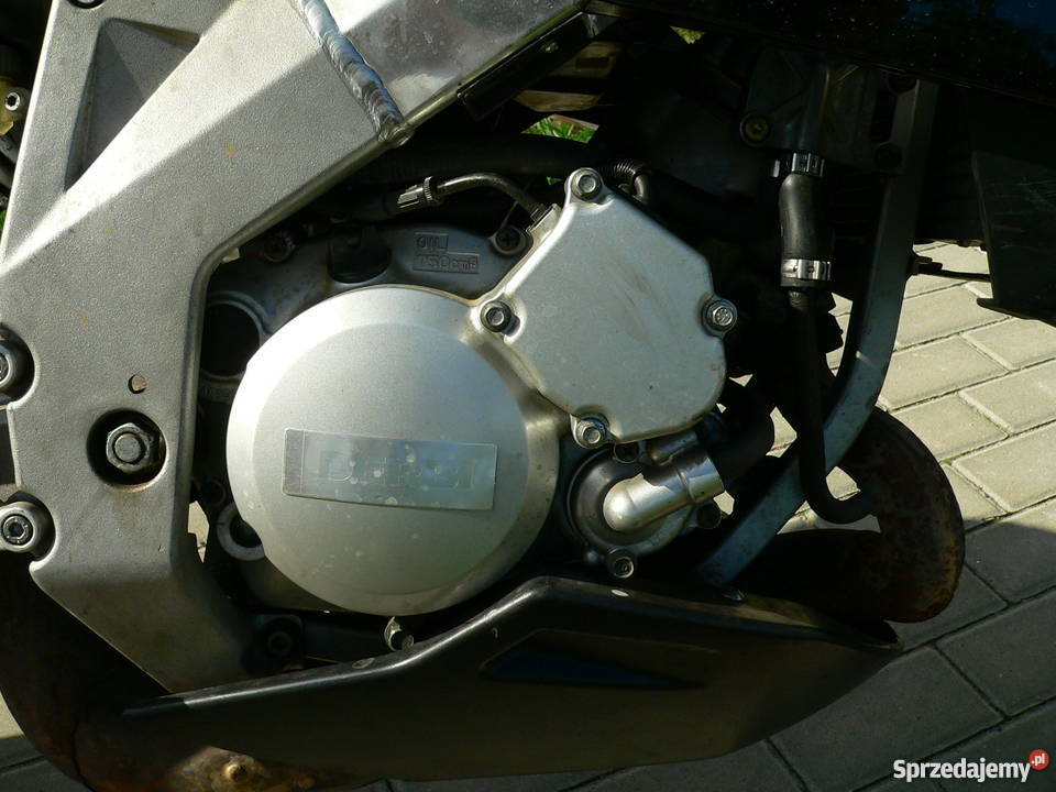 Derbi Gpr Nude 125 Kutno