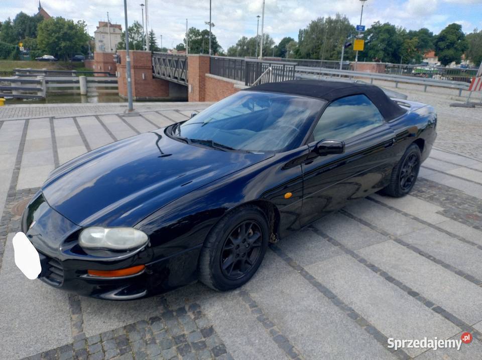 Chevrolet Camaro IV Convertible 2001r 38 V6 1 Wł nieuszkodzony warmińsko-mazurskie Elbląg