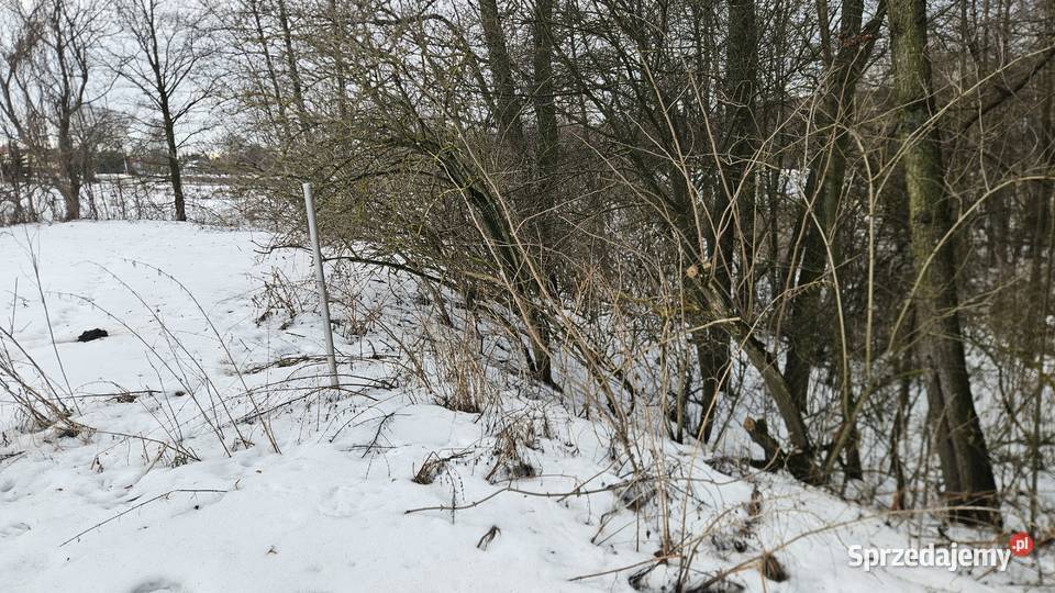 Działka w Jakubowicach Konińskich Jakubowice Konińskie