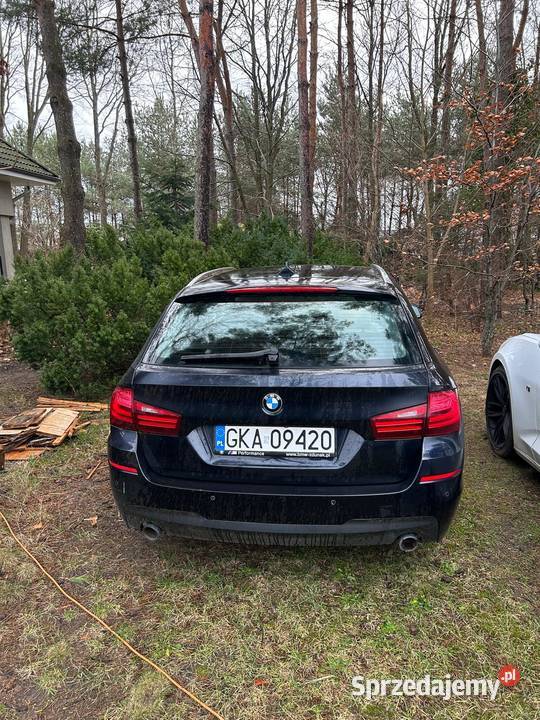 Syndyk sprzedaje pojazdy osobowe firmie Stesar Gdynia