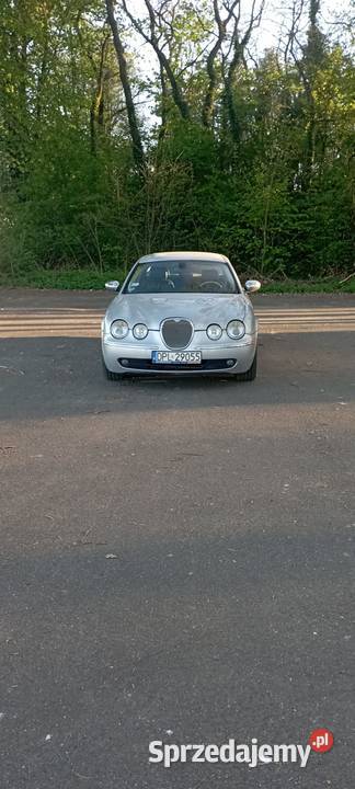 Jaguar czy Audi oto jest pytanie Chocianów
