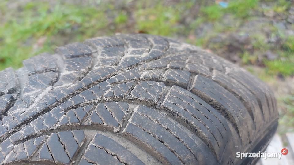 Opona diplomat zimowa 1856515