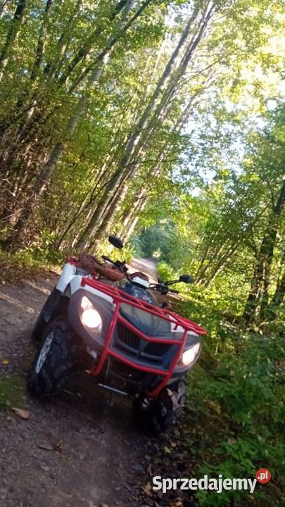 Sprzedam quda dinli 700 Motocykle, skutery, quady